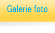 galerie foto